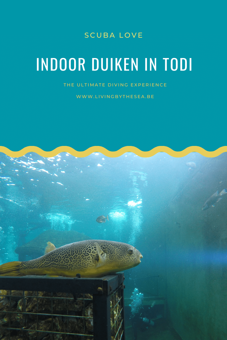 Indoor duiken in TODI